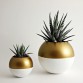 Set of 2 Plant Container Set